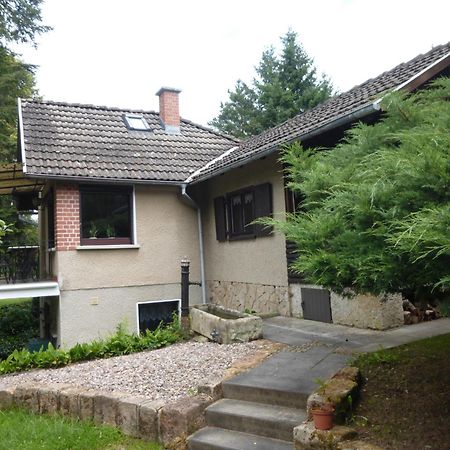 Villa Hasenecke Bad Salzungen Exterior foto